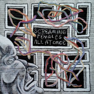 Screaming Females - All At Once i gruppen CD / Pop-Rock hos Bengans Skivbutik AB (3110090)