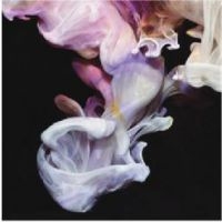 Simian Mobile Disco - Murmurations i gruppen CD / Pop-Rock hos Bengans Skivbutik AB (3115867)