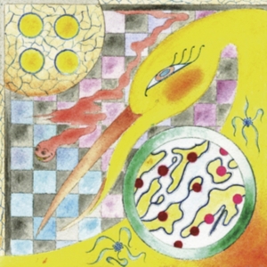 Wand - Perfume i gruppen CD / Pop-Rock hos Bengans Skivbutik AB (3126974)