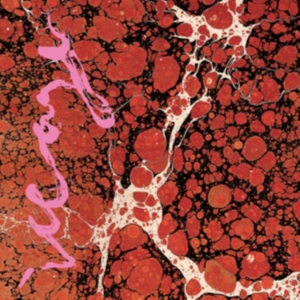 Iceage - Beyondless i gruppen CD / Hårdrock,Pop-Rock hos Bengans Skivbutik AB (3128110)