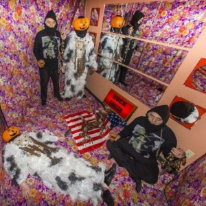 Buck Gooter - 100 Bells i gruppen VINYL / Pop-Rock hos Bengans Skivbutik AB (3178266)