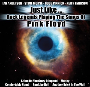 Blandade Artister - Just Like...Rock Legends Play Pink i gruppen CD / Rock hos Bengans Skivbutik AB (3178314)