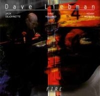 Liebman Dave - Fire i gruppen CD / Jazz hos Bengans Skivbutik AB (3178316)