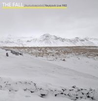 Fall - Levitate i gruppen VINYL / Pop-Rock hos Bengans Skivbutik AB (3205168)