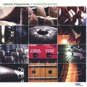 Natural Frequencies (Aka Andreas Le - Ornamental Journey i gruppen CD / Pop hos Bengans Skivbutik AB (3208029)