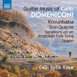 Domeniconi Carlo - Guitar Music i gruppen Externt_Lager / Naxoslager hos Bengans Skivbutik AB (3208490)