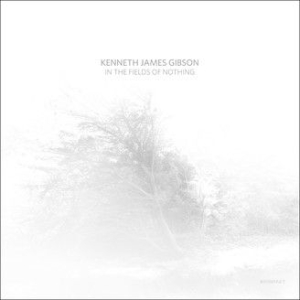 Gibson Kenneth James - In The Fields Of Nothing i gruppen VINYL / Dans/Techno hos Bengans Skivbutik AB (3217535)