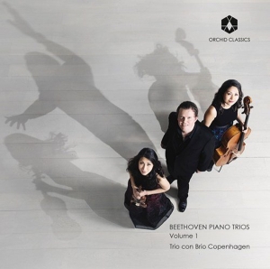 Trio Con Brio Copenhagen - Beethoven Piano Trios Volume 1 i gruppen Externt_Lager / Naxoslager hos Bengans Skivbutik AB (3228591)