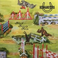 Boxhamsters - Black Beauty Farm (Inkl.Cd) i gruppen VINYL / Pop-Rock hos Bengans Skivbutik AB (3266695)