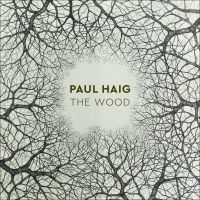 Haig Paul - Wood i gruppen CD / Pop-Rock hos Bengans Skivbutik AB (3275460)