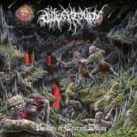 Outer Heaven - Realms Of Eternal Decay i gruppen VINYL / Hårdrock hos Bengans Skivbutik AB (3317235)