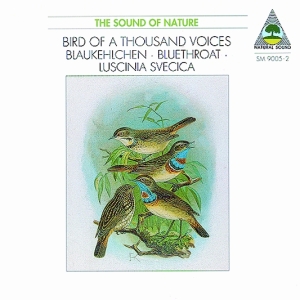 Natural Sound Recorded By Walter Ti - Bluethroat (Luscinia Svenica) - Bir i gruppen Externt_Lager / Naxoslager hos Bengans Skivbutik AB (3322409)