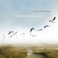 Mezza/Ginsburg Ensemble - Convergence i gruppen CD / Jazz hos Bengans Skivbutik AB (3323370)