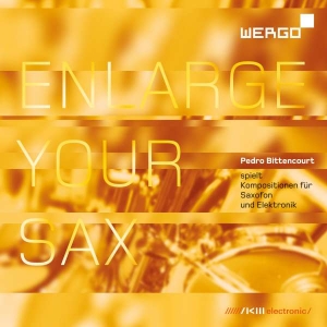 Various - Enlarge Your Sax i gruppen Externt_Lager / Naxoslager hos Bengans Skivbutik AB (3323850)