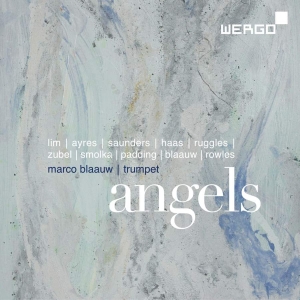 Various - Angels i gruppen VI TIPSAR / Julklappstips CD hos Bengans Skivbutik AB (3329204)