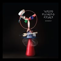 VASAS FLORA OCH FAUNA - STRANDGUT i gruppen VINYL / Pop-Rock hos Bengans Skivbutik AB (3329984)