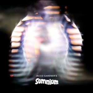 Gardner Jacco - Somnium i gruppen CD / Rock hos Bengans Skivbutik AB (3330158)