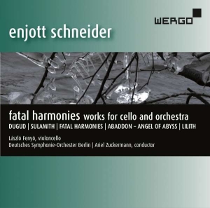 Schneider Enjott - Fatal Harmonies i gruppen VI TIPSAR / Julklappstips CD hos Bengans Skivbutik AB (3335738)