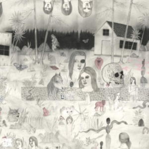 Sudakistan - Swedish Cobra i gruppen VINYL / Pop-Rock,Svensk Musik hos Bengans Skivbutik AB (3439531)