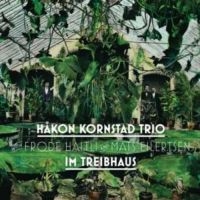 Kornstad Håkon - Im Triebhaus i gruppen CD / Jazz hos Bengans Skivbutik AB (3478291)