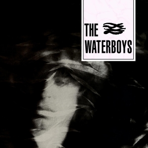 Waterboys - Waterboys i gruppen CD / Pop-Rock hos Bengans Skivbutik AB (3489861)