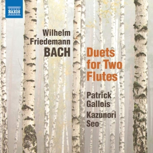 Bach W F - Duets For 2 Flutes i gruppen VI TIPSAR / Julklappstips CD hos Bengans Skivbutik AB (3494753)