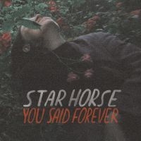 STAR HORSE - YOU SAID FOREVER i gruppen VINYL / Pop-Rock hos Bengans Skivbutik AB (3495817)