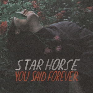 Star Horse - You Said Forever i gruppen VINYL / Pop-Rock hos Bengans Skivbutik AB (3495817)