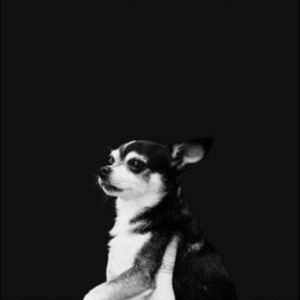 And The Kids - When This Life Is Over i gruppen VINYL / Pop-Rock hos Bengans Skivbutik AB (3496813)