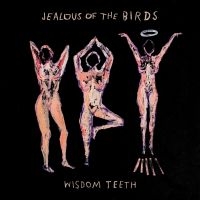 Jealous Of The Birds - Wisdom Teeth i gruppen VINYL / Pop-Rock hos Bengans Skivbutik AB (3498256)