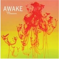 Awake - Aubes Et Crepuscules i gruppen CD / Jazz hos Bengans Skivbutik AB (3509661)