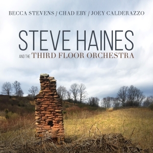 Haines Steve And The Third Floor Orchestra - Steve Haines And The Third Floor Orchestra i gruppen CD / Jazz hos Bengans Skivbutik AB (3510922)