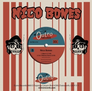 King Flamingo & Nico Bones - King Flamingo Vs Nico Bones i gruppen VINYL / Punk hos Bengans Skivbutik AB (3512116)