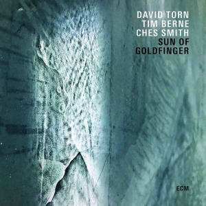 Torn David - Sun Of Goldfinger i gruppen VI TIPSAR / Årsbästalistor 2019 / Årsbästa 2019 JazzTimes hos Bengans Skivbutik AB (3512312)