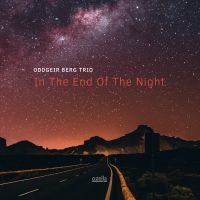 Berg Oddgeir (Trio) - In The End Of The Night i gruppen CD / Jazz hos Bengans Skivbutik AB (3515001)