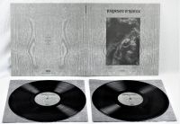 Paysage D'hiver - Steineiche (2 Lp Vinyl) i gruppen VINYL / Hårdrock hos Bengans Skivbutik AB (3519921)