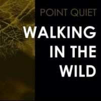 Point Quiet - Walking In The Wind i gruppen VINYL / Pop-Rock hos Bengans Skivbutik AB (3522497)