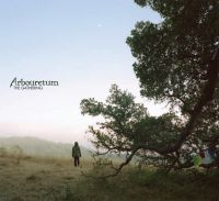 Arbouretum - Gathering i gruppen VINYL / Pop-Rock hos Bengans Skivbutik AB (3529687)