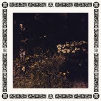 Davachi Sarah - Pale Bloom i gruppen VINYL / Pop-Rock hos Bengans Skivbutik AB (3555433)