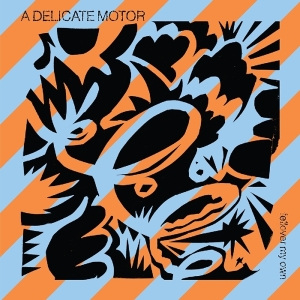 A Delicate Motor - Fellover My Own i gruppen VINYL / Ambient,Dance-Techno hos Bengans Skivbutik AB (3558542)