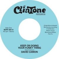 Camon David - Keep On Doing Your Funky Thing i gruppen VINYL / Pop-Rock,RnB-Soul hos Bengans Skivbutik AB (3559606)