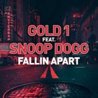 Gold 1 Feat. Snoop Dogg - Fallin' Apart i gruppen VINYL / Dance-Techno,Pop-Rock hos Bengans Skivbutik AB (3599351)