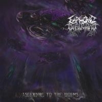 Euphoric Defilement - Ascending To The Worms i gruppen CD / Hårdrock hos Bengans Skivbutik AB (3636569)