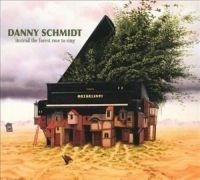 Schmidt Danny - Instead The Forest Rose To Sing i gruppen CD / Country hos Bengans Skivbutik AB (3642603)