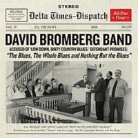 Bromberg David - Blues The Whole Blues And Nothing B i gruppen CD / Pop-Rock hos Bengans Skivbutik AB (3642654)