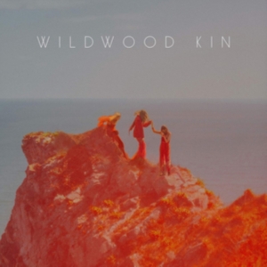 Wildwood Kin - Wildwood Kin i gruppen CD / Pop-Rock hos Bengans Skivbutik AB (3657302)