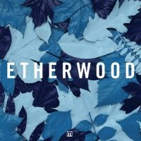 Etherwood - Blue Leaves i gruppen CD / Dance-Techno,Pop-Rock hos Bengans Skivbutik AB (3659197)