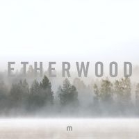 Etherwood - In Stillness i gruppen VINYL / Dance-Techno hos Bengans Skivbutik AB (3662089)