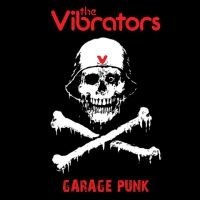 Vibrators - Garage Punk i gruppen VINYL / Pop-Rock hos Bengans Skivbutik AB (3664641)