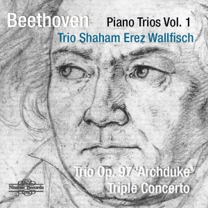 Beethoven Ludwig Van - Piano Trios Vol. 1: Archduke Trio & i gruppen VI TIPSAR / Julklappstips CD hos Bengans Skivbutik AB (3665962)